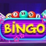 The Different Types of Bingo Players
